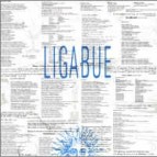 Ligabue