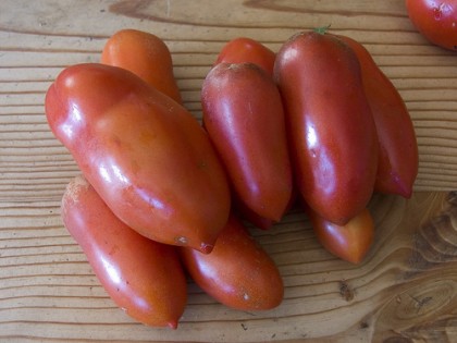 Tomatensaus pizza San Marzano