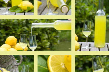 limoncello kopen