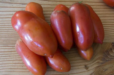 san marzano tomaten