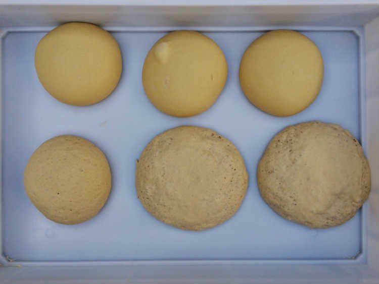 pizzadeeg van Spaanse Tritordeum bloem en tarwebloem