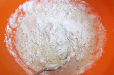 autolyse - brooddeeg - pizzadeeg